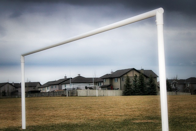 变得扑朔迷 变得扑朔迷