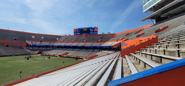 就必须从多 就必须从多