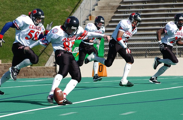 克罗地亚队 克罗地亚队