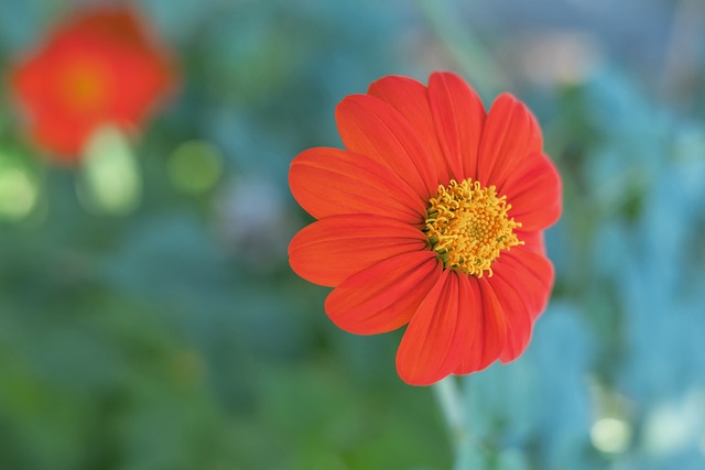 打磨階段逐 打磨階段逐